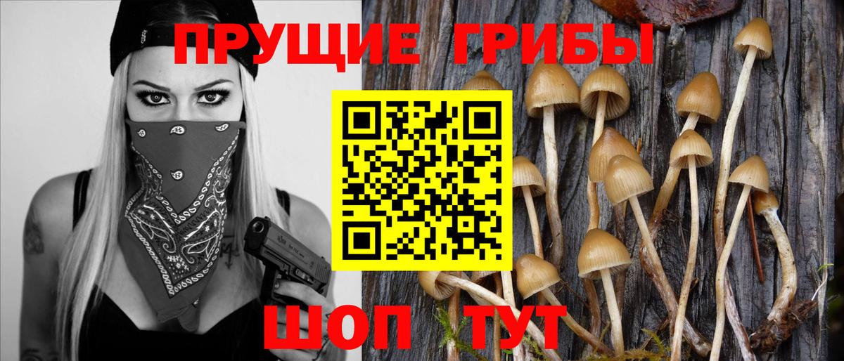Октябрьский  Галлюциногенные грибы GOLDEN TEACHER  Вход с VPN 